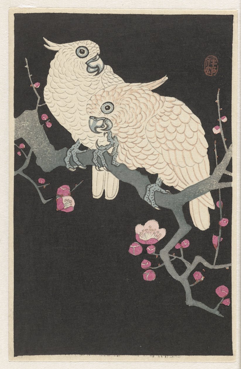 Zwei Kakadus und Pflaumenblüte von Ohara Koson