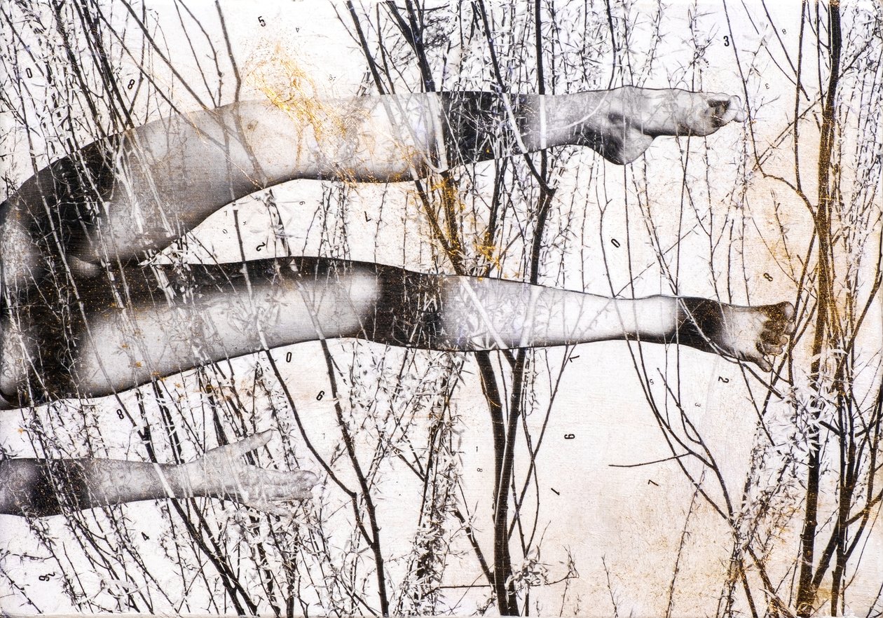 Fliegende Beine, 2022 von Olivia Gozzano