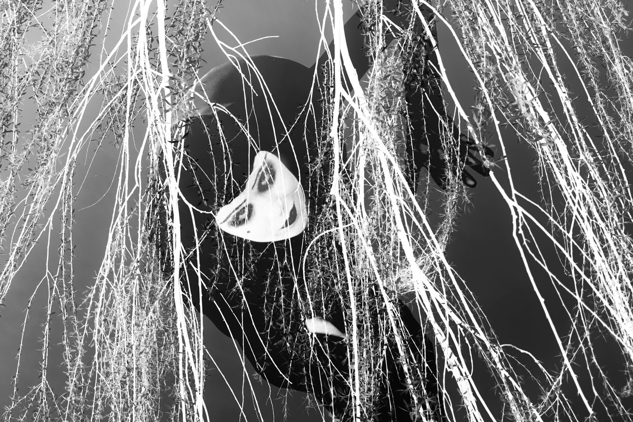 Ladra, 2023 (digitale Mischtechnik) von Olivia Gozzano