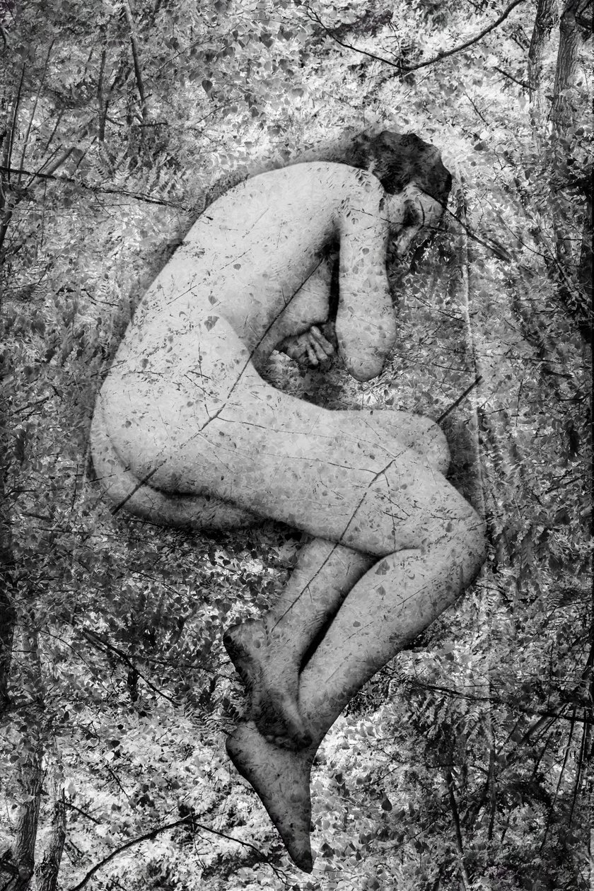 Seme, 2024 von Olivia Gozzano
