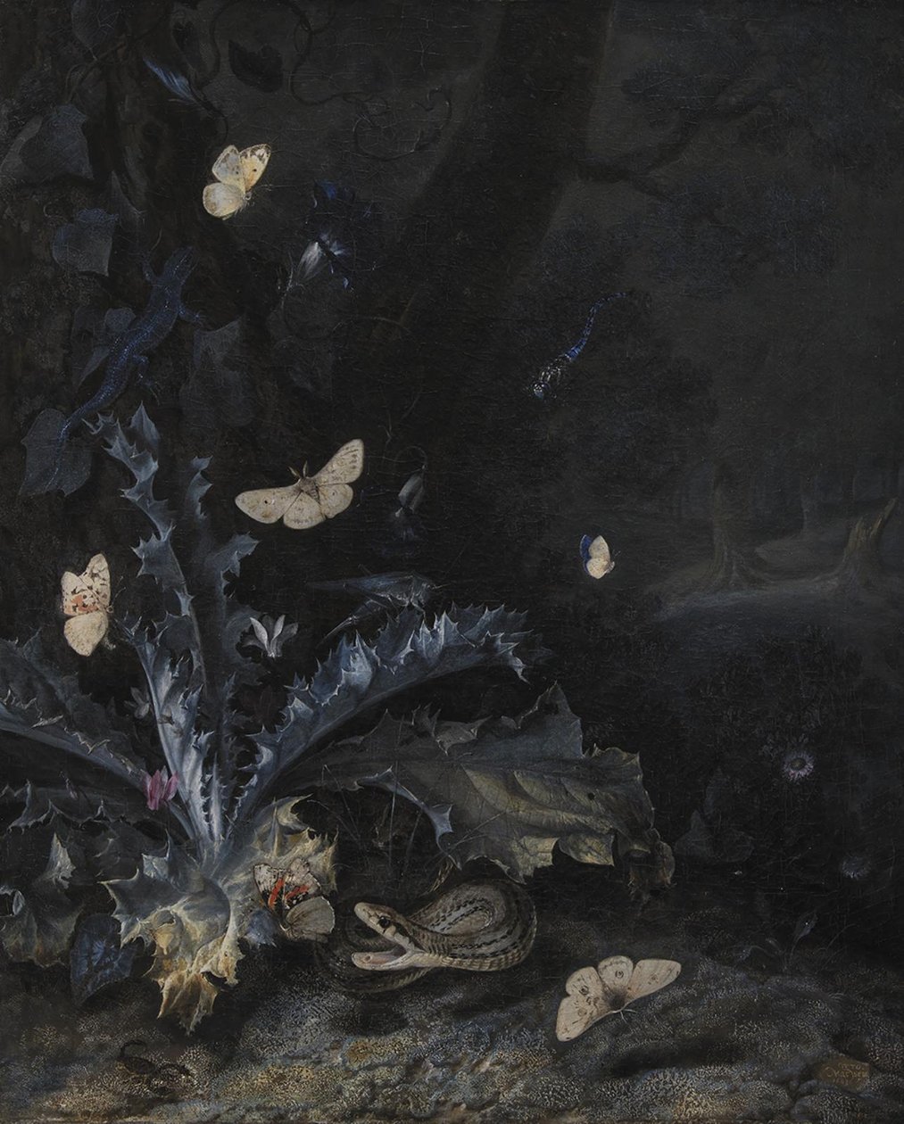 Stillleben mit Distel und Schlange von Otto Marseus  van Schrieck