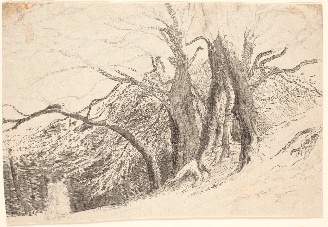 Ein Abhang mit großen Bäumen in einem Wald, mit zwei gehenden Damen von P.C. Skovgaard