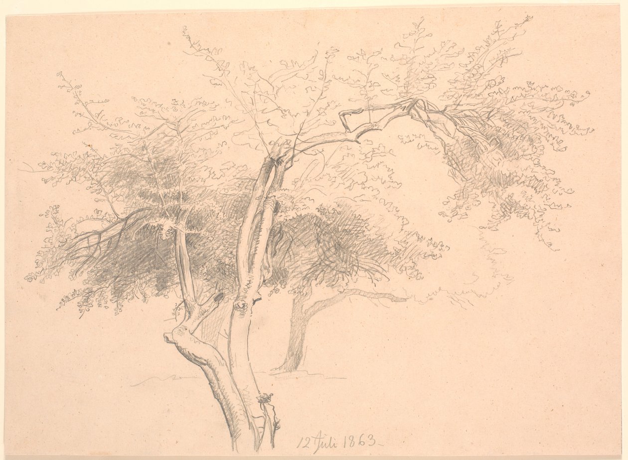 Studie von Baumwipfeln von P.C. Skovgaard
