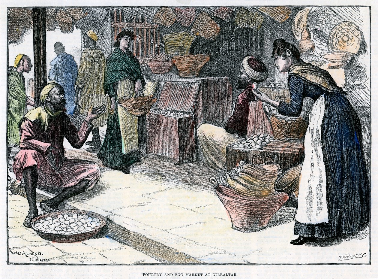 Geflügel- und Eiermarkt in Gibraltar, um 1880 von P Naumann