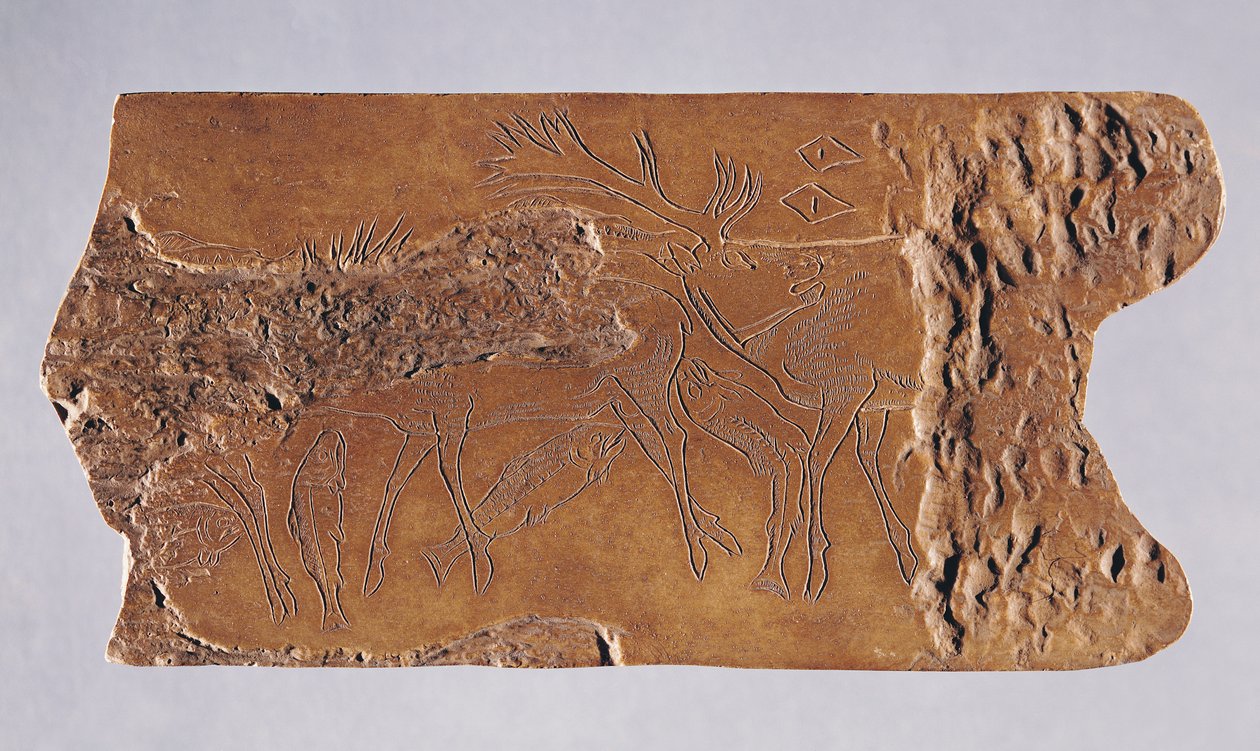 Rentiergeweih mit geschnitzten Hirschen und springenden Lachsen, aus der Grotte de Lortet, Magdalénien, 15000-18000 v. Chr. (Geweih) von Paleolithic