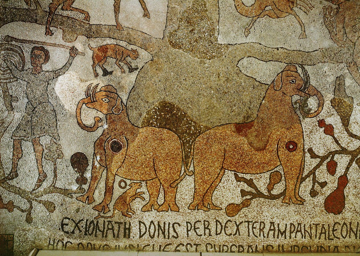 Zwei Elefanten an den Wurzeln des Lebensbaums von Pantaleone Pantaleone