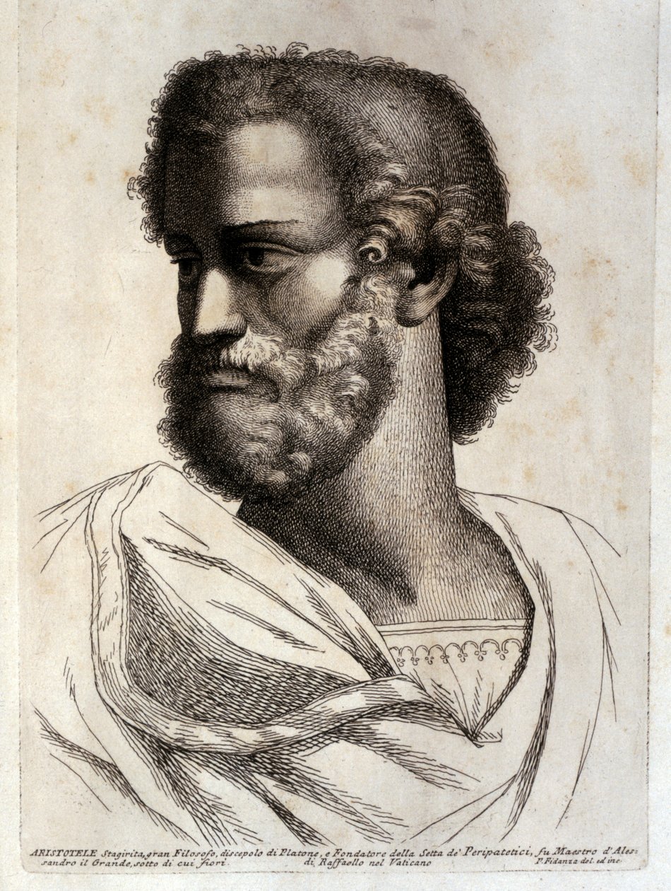Aristoteles von Paolo Fidanza