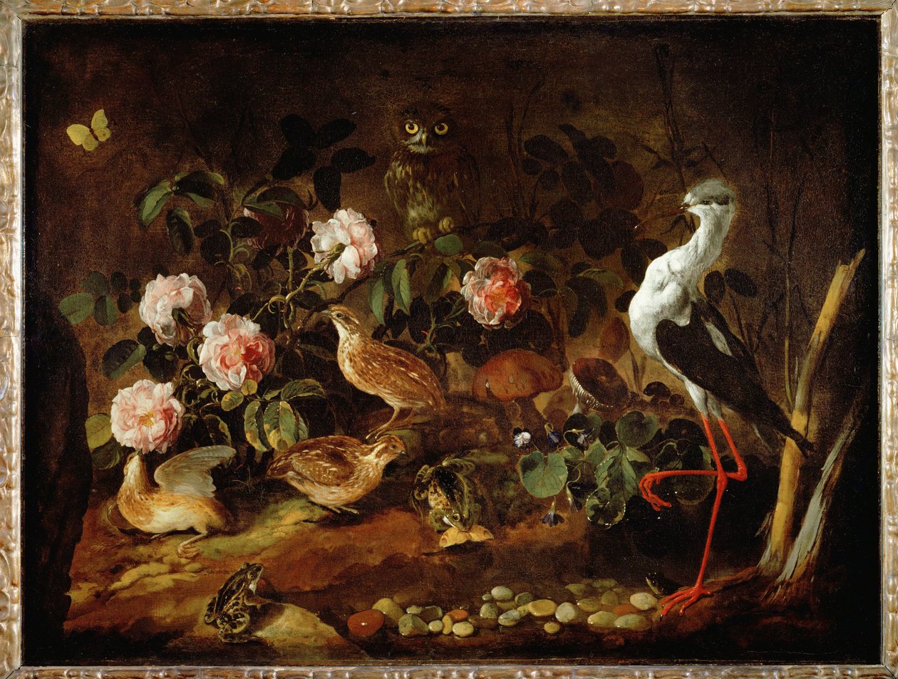 Stillleben mit Eule und Ibis von Paolo Porpora