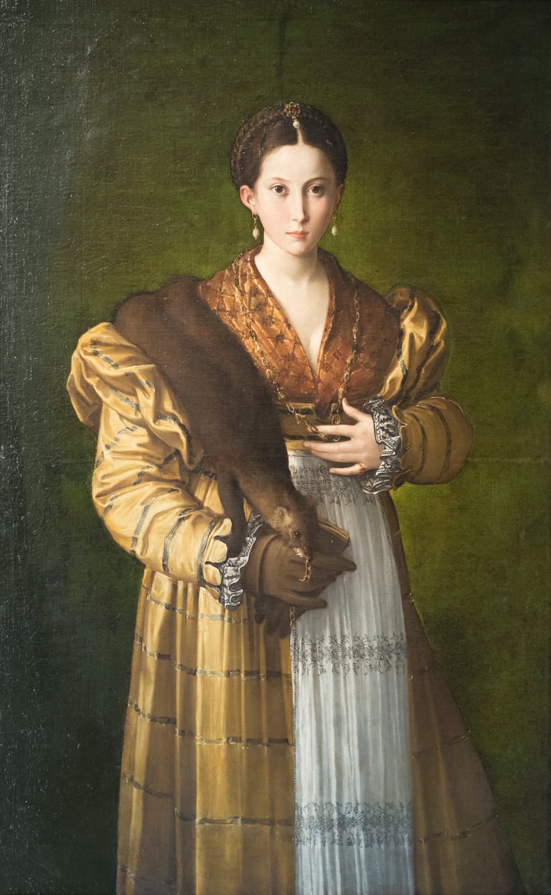 Porträt einer jungen Dame, Antea von Parmigianino (1503 40)