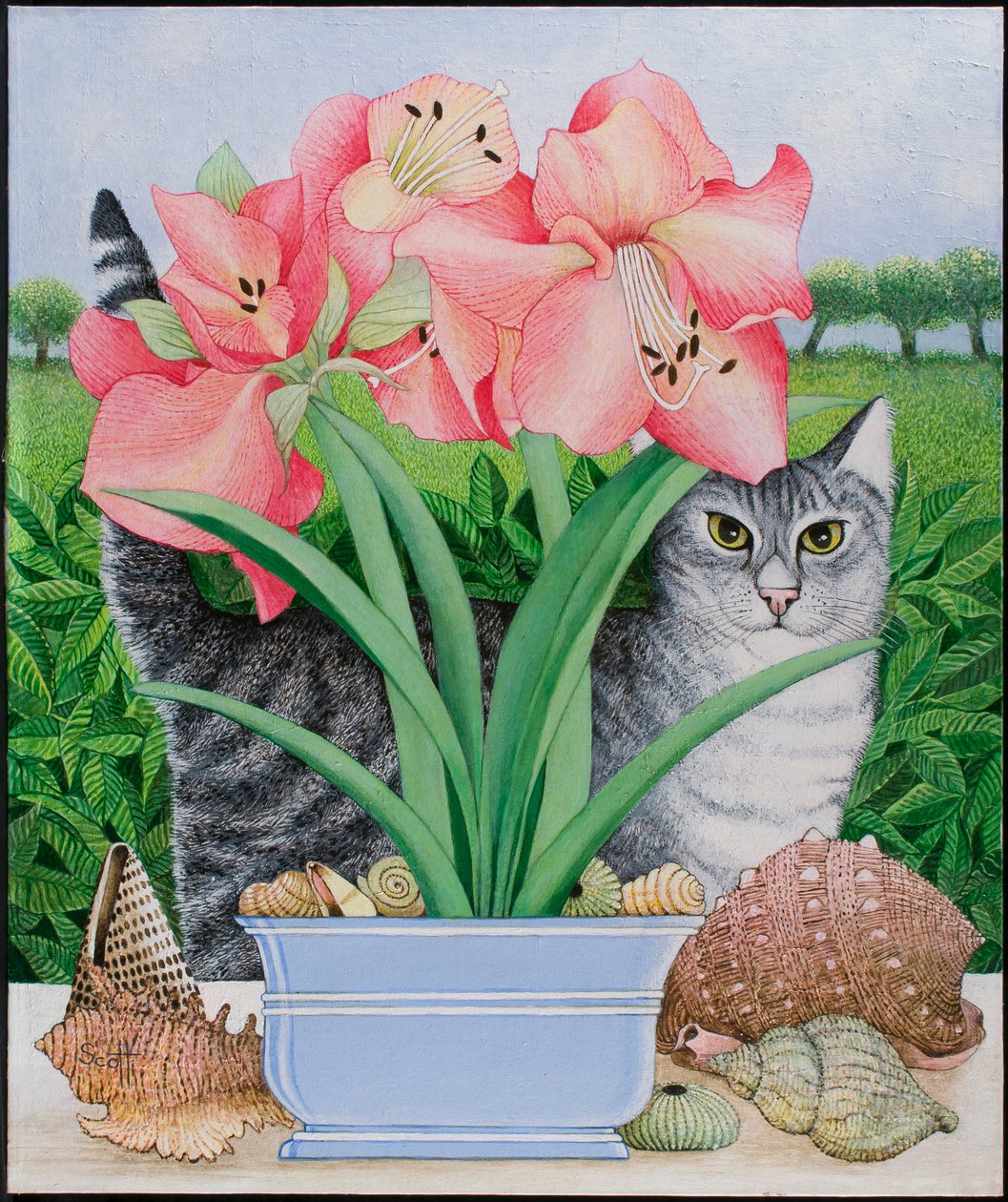 Möglichkeiten erkunden, 2011 von Pat Scott
