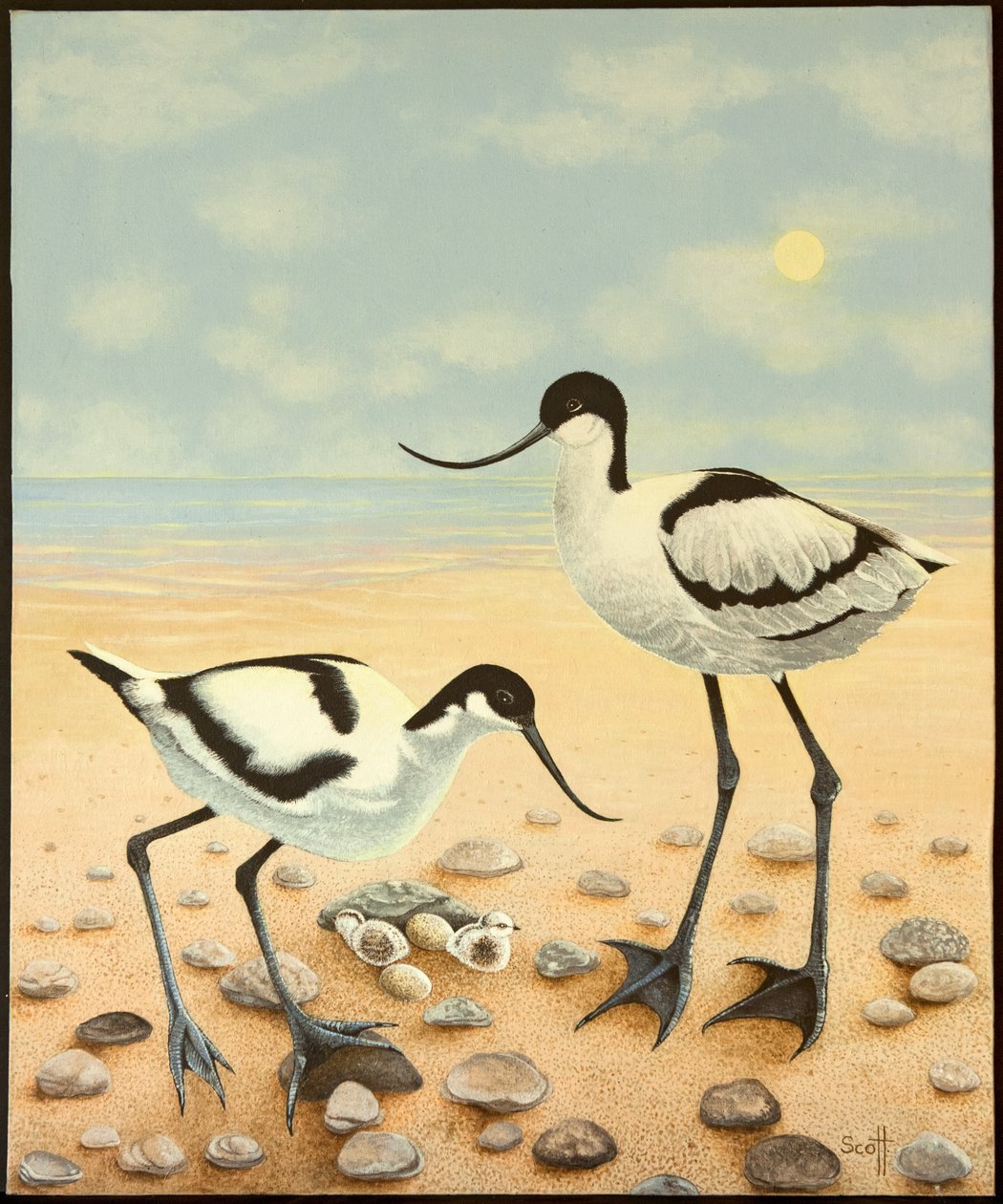 Die neue Generation, 2012 von Pat Scott