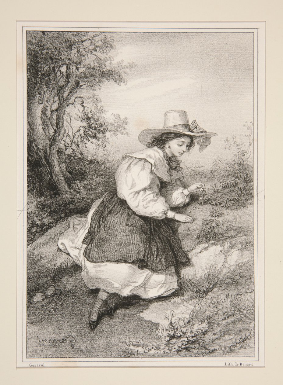 Die zwei Gänseblümchen. von Paul Gavarni