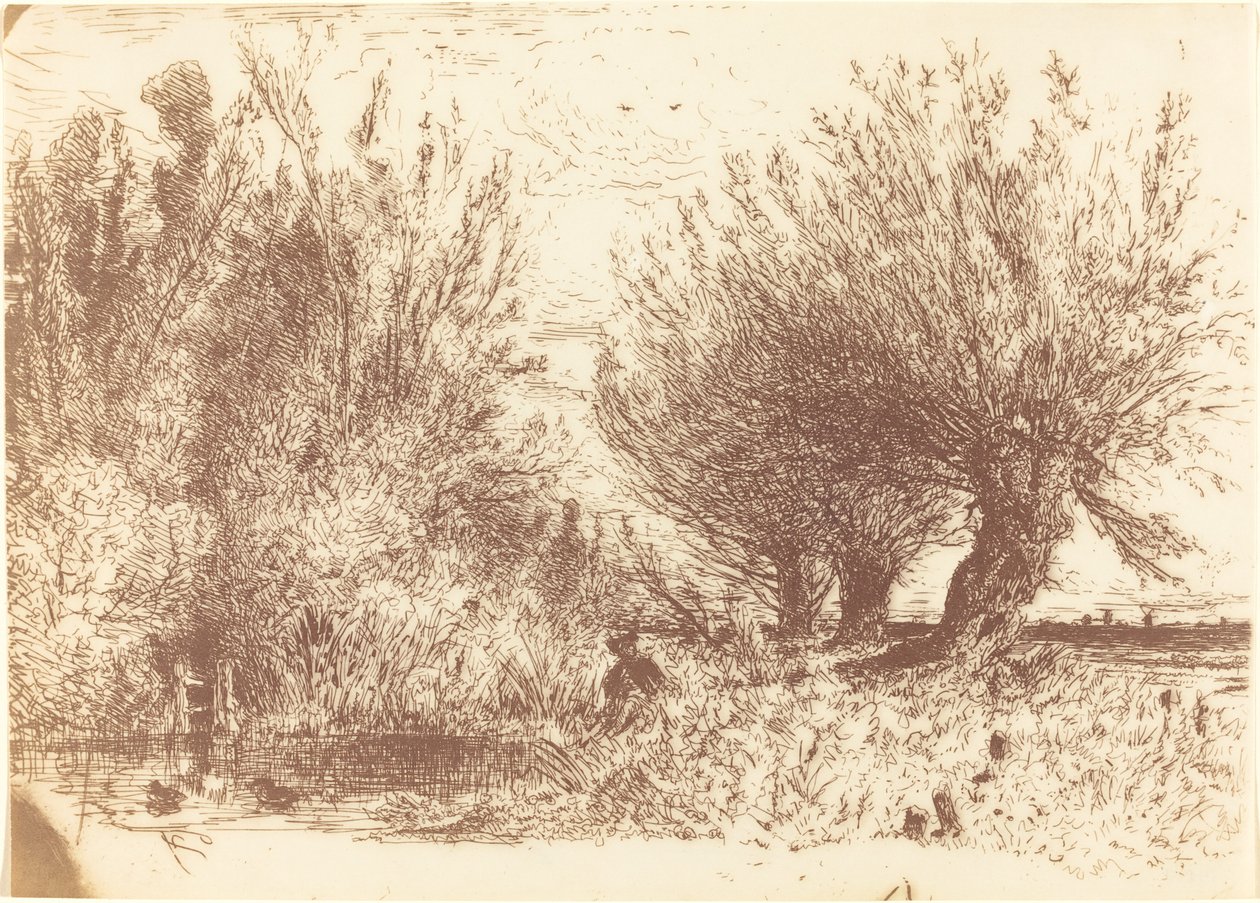 Ufer eines Flusses von Paul Huet