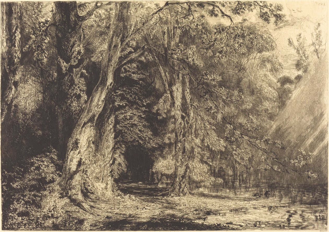 Überschwemmung im Wald der Île Séguin von Paul Huet