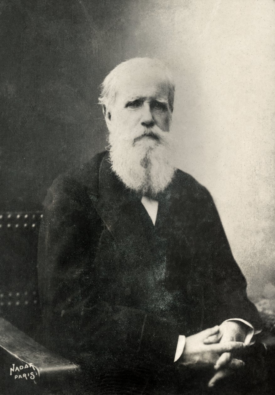Porträt von Dom Pedro, Kaiser von Brasilien von Paul Nadar