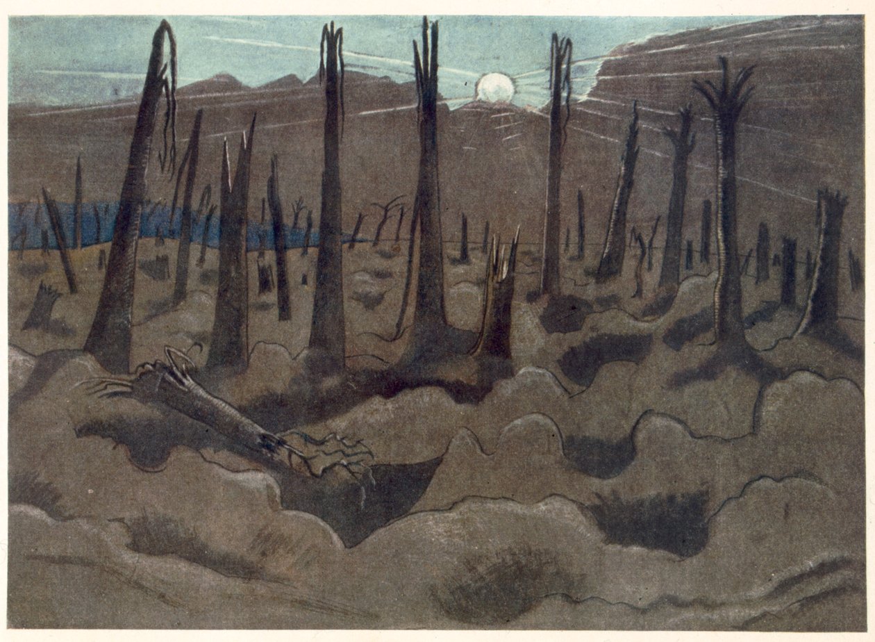 Sonnenaufgang, Inverness Copse, aus 