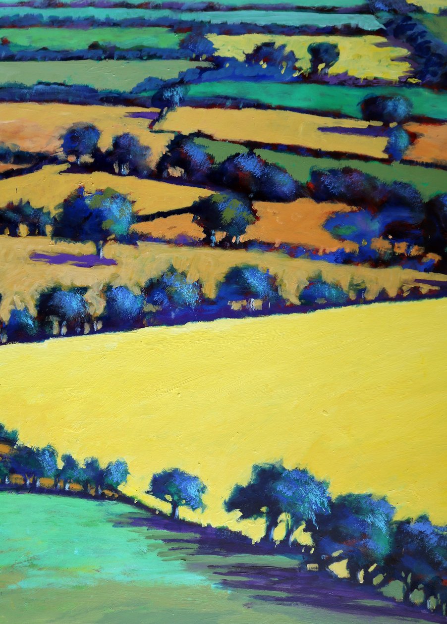 Whiteleaved Oak Nahaufnahme 1 von Paul Powis