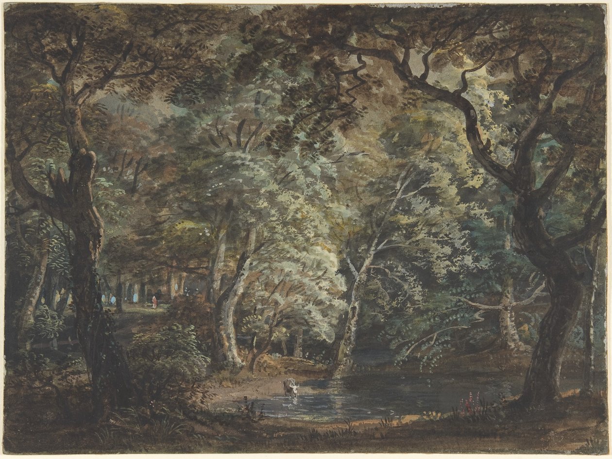 Windsor Great Park, ca. 1790-99 von Paul Sandby