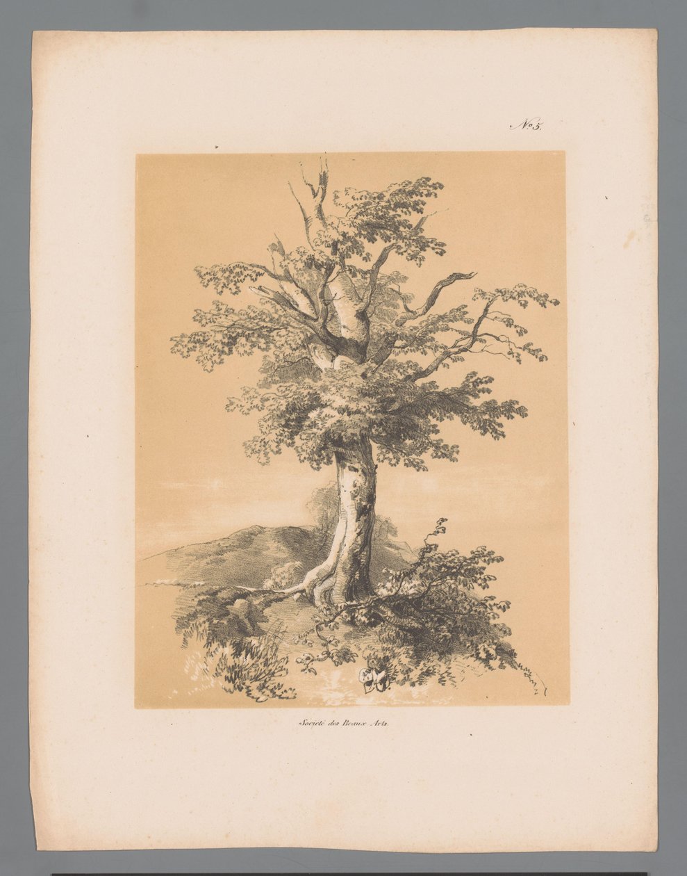 Baum (Pittoreske Ansichten von Paulus Lauters) von Paulus Lauters