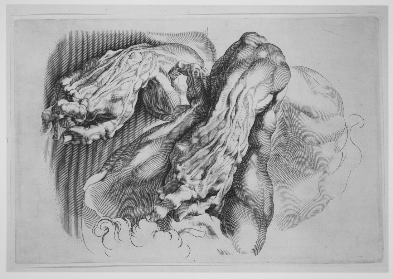 Drei Studien von Écorchés, nach 1640 von Paulus Pontius