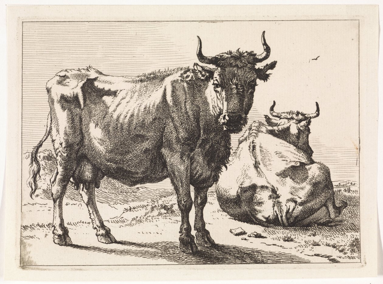 Eine stehende und eine liegende Kuh Das Bullenbuch (Serientitel) von Paulus Potter