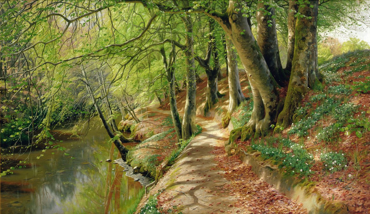 Waldige Flusslandschaft von Peder Monsted