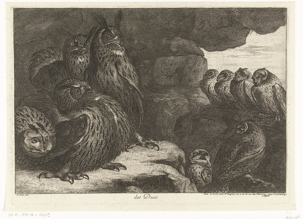 Eulen in einer Höhle (Vögel aus der Menagerie von Versailles) von Peeter Boel (attributed to)