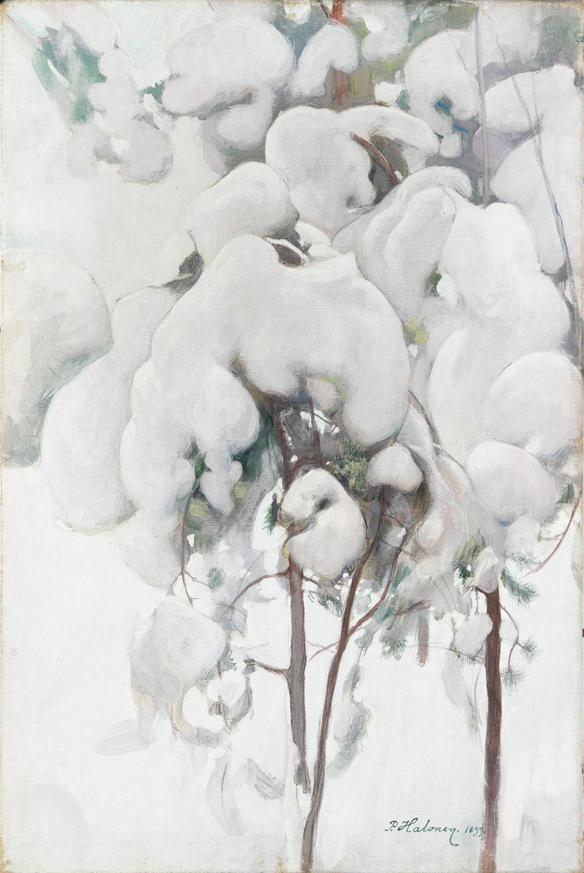 Schneebedeckte Kiefernsprösslinge von Pekka Halonen