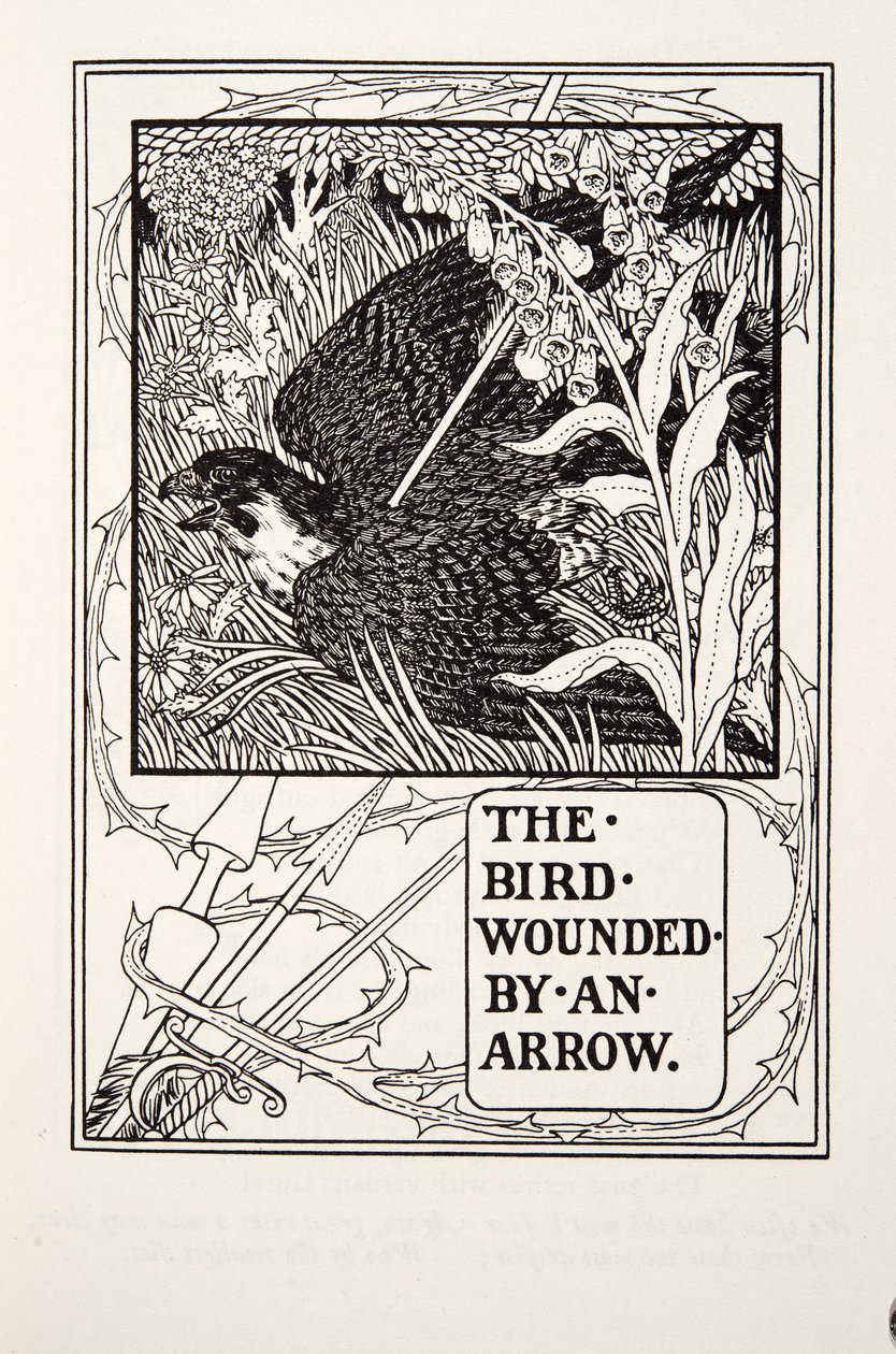 Der Vogel, verwundet von einem Pfeil, aus Fontaine Fabeln, veröffentlicht 1905 von Percy J. Billingshurst