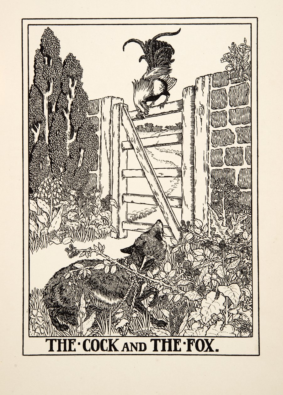 Der Hahn und der Fuchs, aus Hundert Fabeln von Aesop, veröffentlicht 1903 von Percy J. Billingshurst