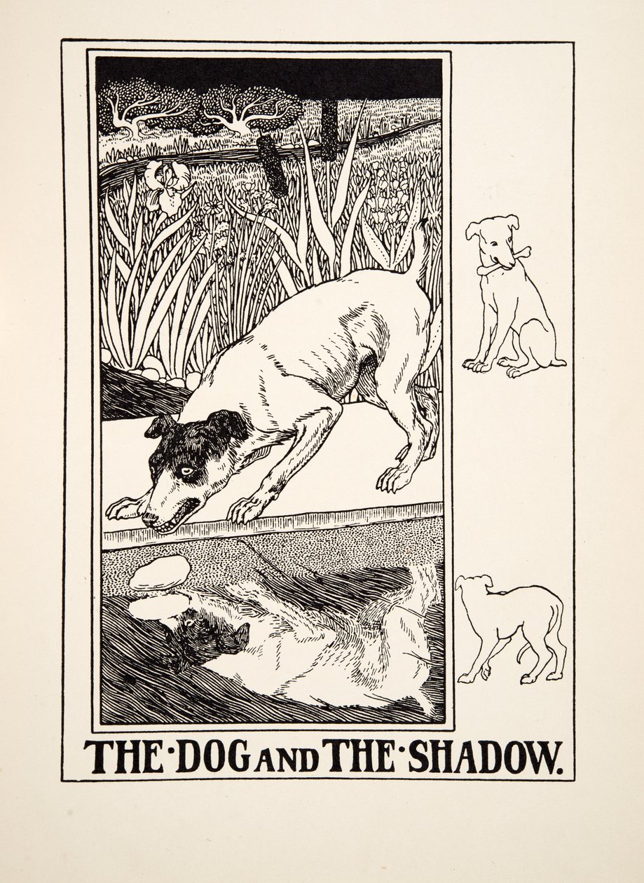 Der Hund und der Schatten, aus Hundert Fabeln von Äsop, veröffentlicht 1903 von Percy J. Billingshurst