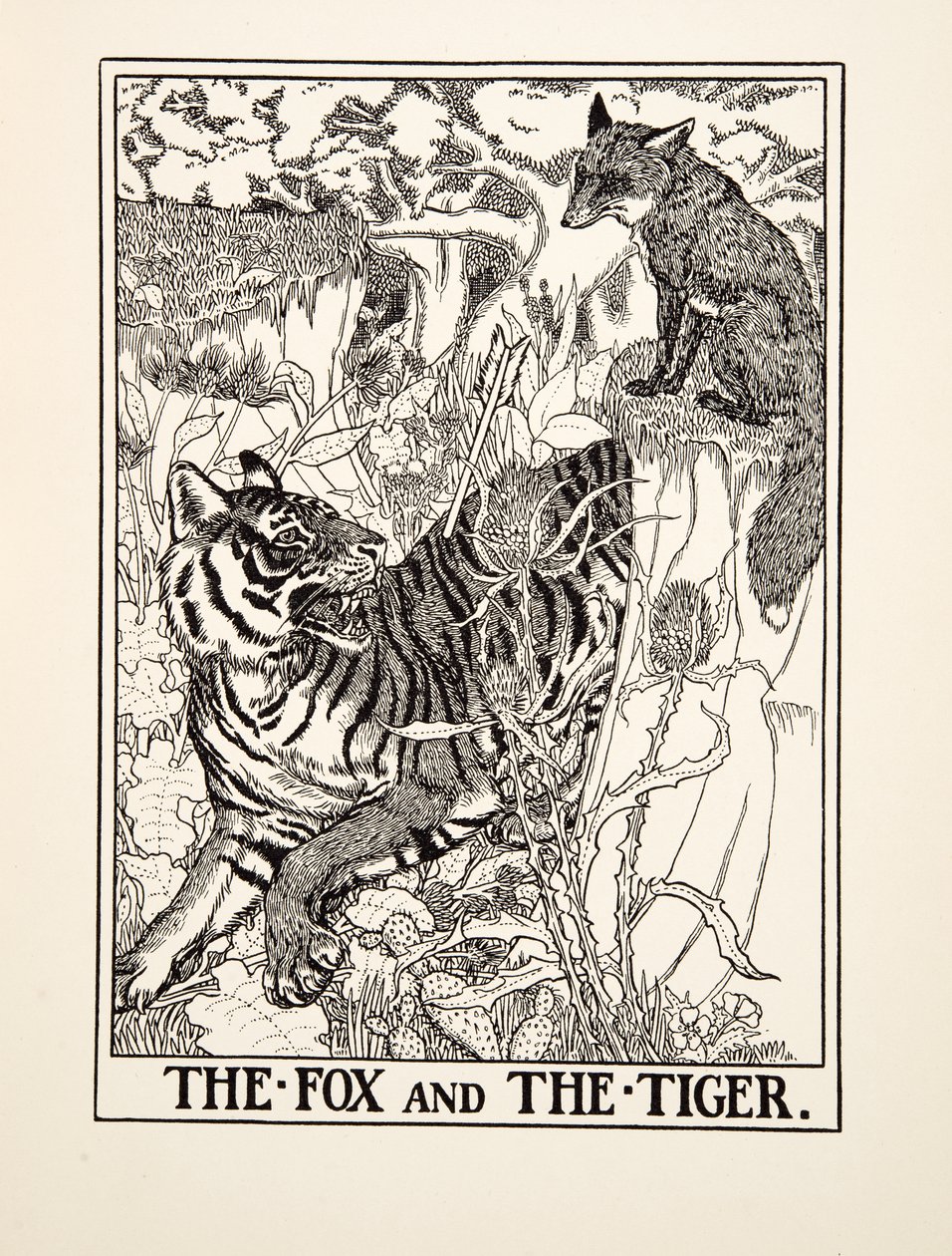 Der Fuchs und der Tiger, aus Hundert Fabeln von Aesop, veröffentlicht 1903 von Percy J. Billingshurst