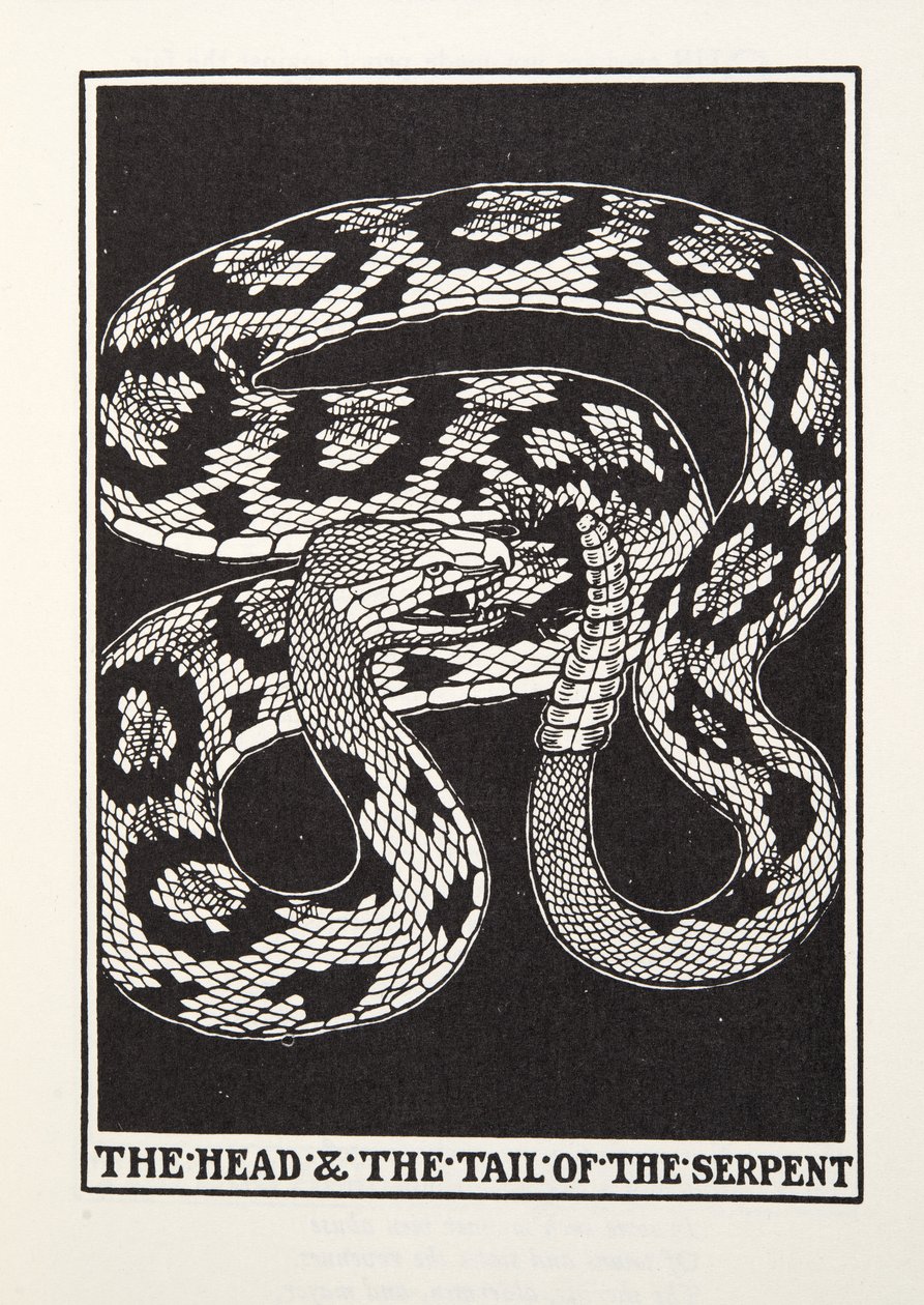 Der Kopf und der Schwanz der Schlange, aus Fontaine Fables, veröffentlicht 1905 von Percy J. Billingshurst