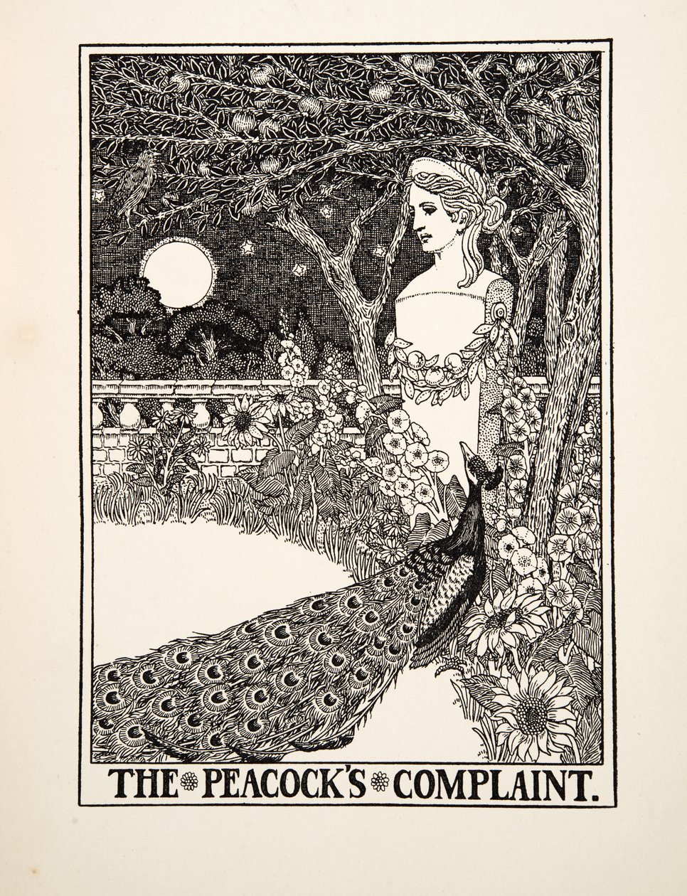 Die Beschwerde der Pfauen, aus Hundert Fabeln von Äsop, veröffentlicht 1903 von Percy J. Billingshurst