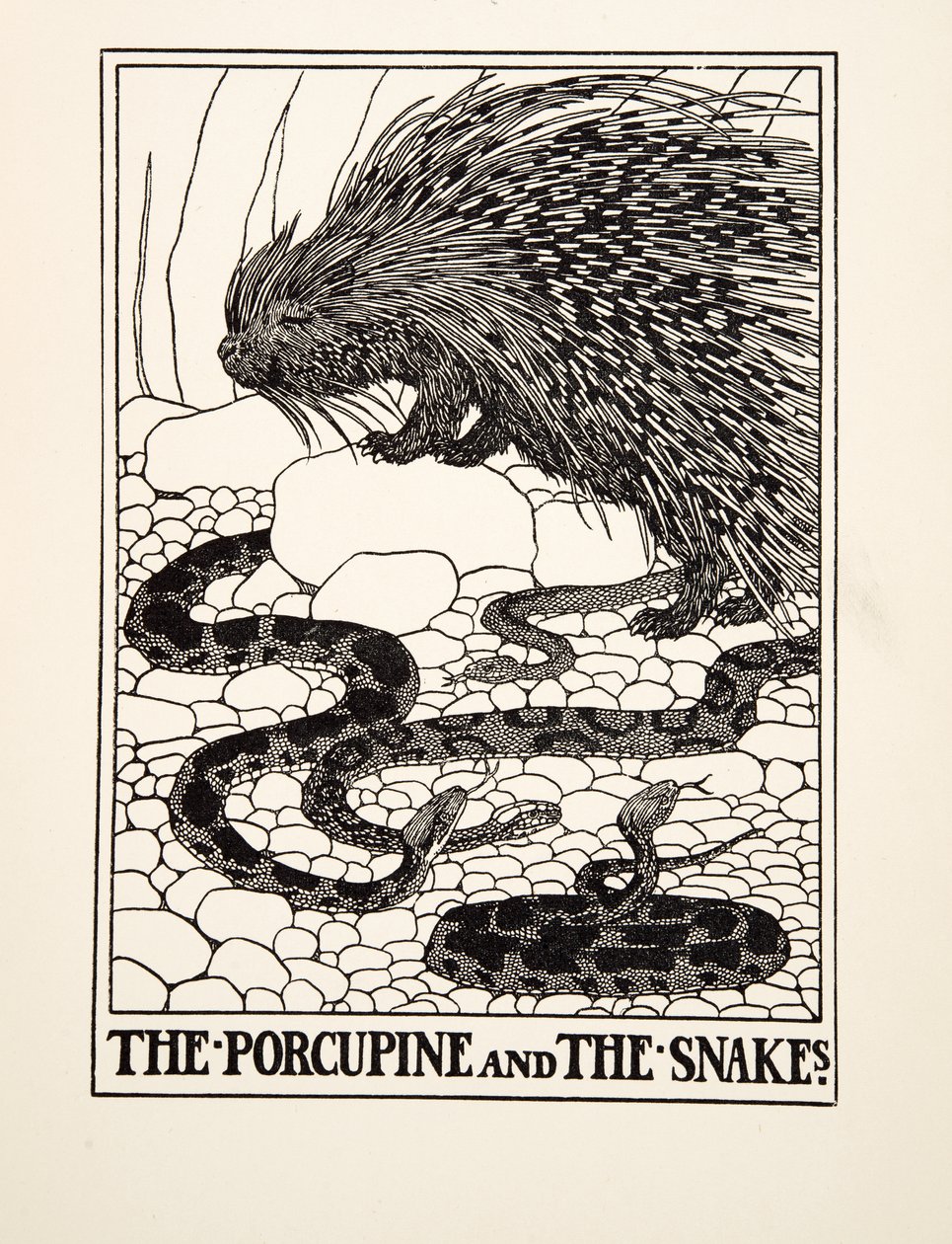 Der Stachelschwein und die Schlangen, aus Hundert Fabeln von Äsop, veröffentlicht 1903 (Gravur) von Percy J. Billingshurst
