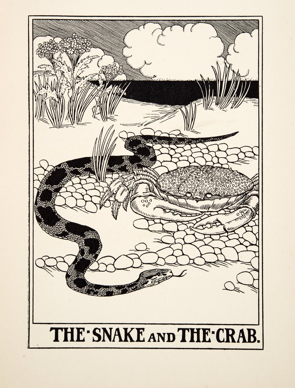Die Schlange und die Krabbe, aus Hundert Fabeln von Aesop, veröffentlicht 1903 von Percy J. Billingshurst