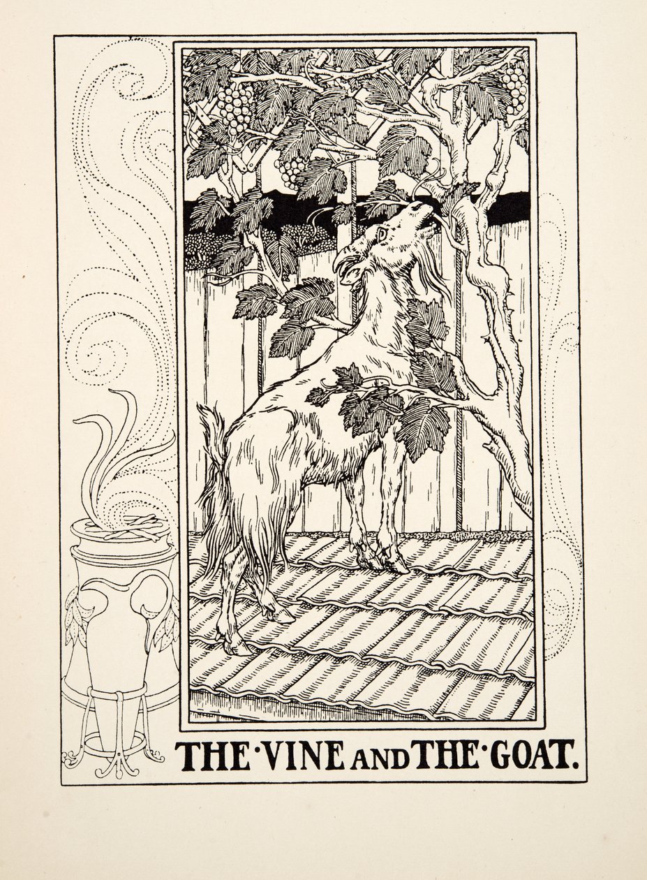Der Weinstock und die Ziege, aus Hundert Fabeln von Aesop, veröffentlicht 1903 von Percy J. Billingshurst