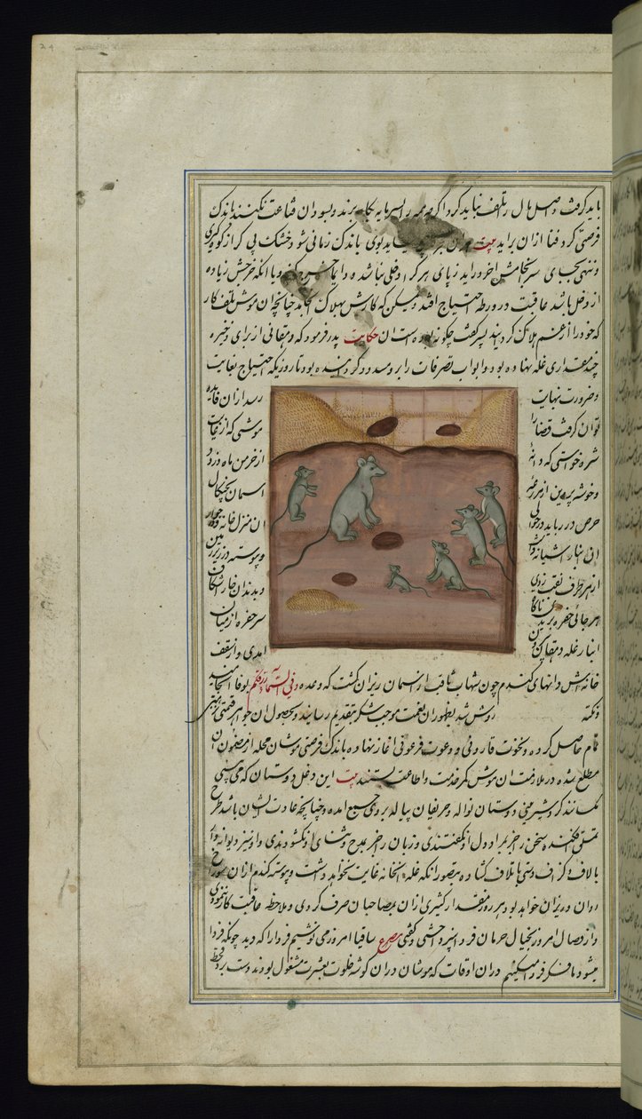 Der Maisvorrat eines Bauern wird von Mäusen angegriffen aus Lichter von Canopus von Persian School