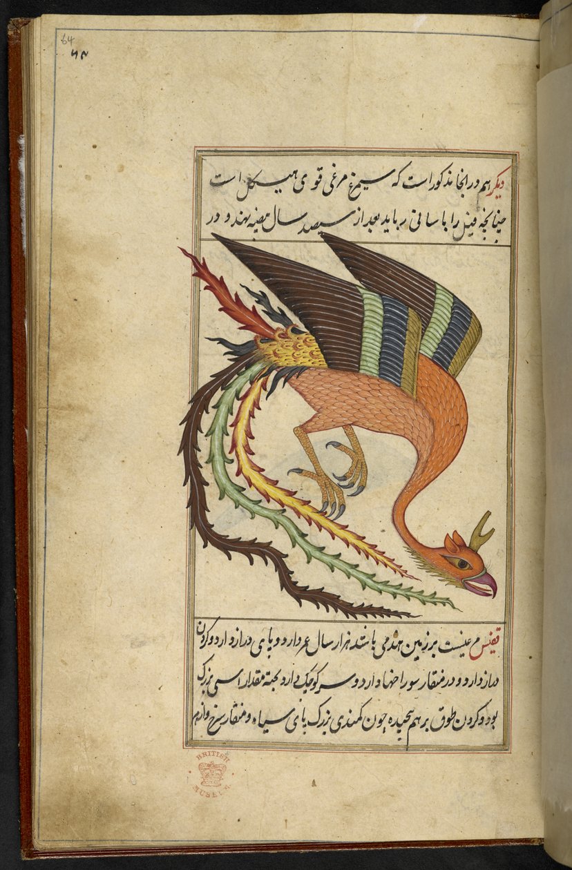 Der Simurgh, ein iranischer Donnervogel, aus 'Majma’ Al-ghara’ib ...