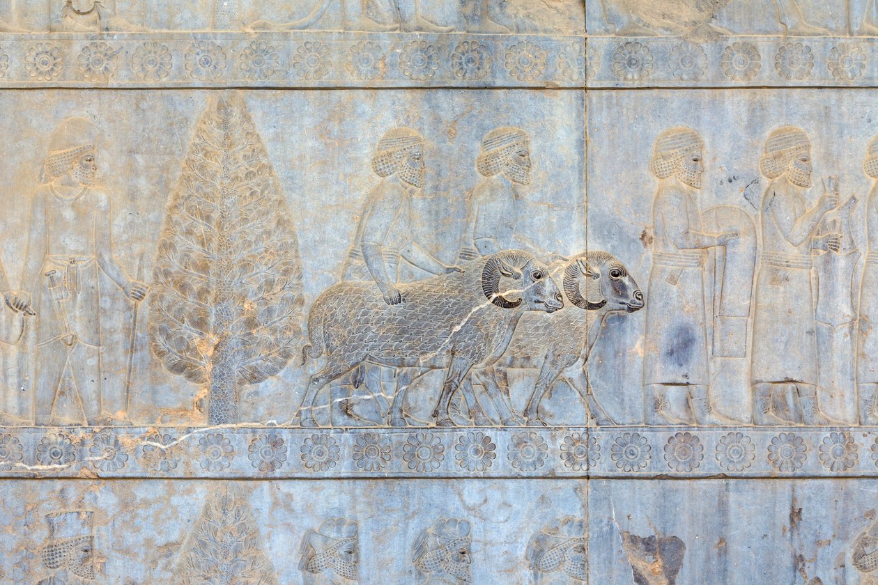 Basreliefs an den Wänden des Apadana-Palastes und der Treppe, Persepolis, Iran von Persian School