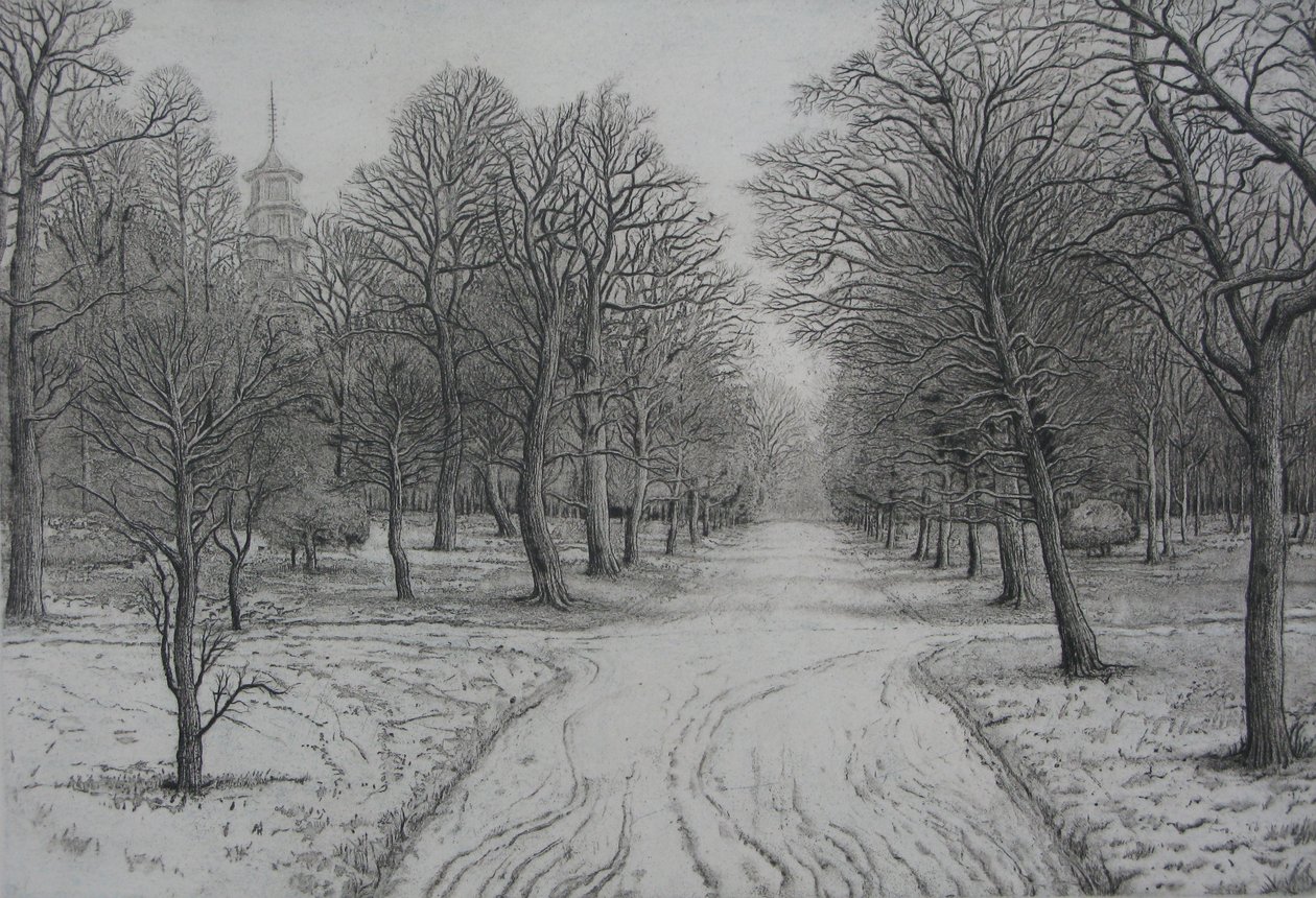 Kew Gardens im Winter von Peter A Ford