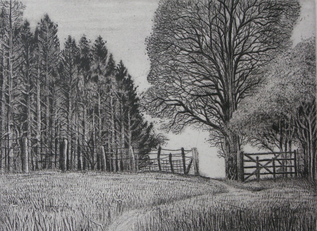 Der Waldweg - Frühling von Peter A Ford