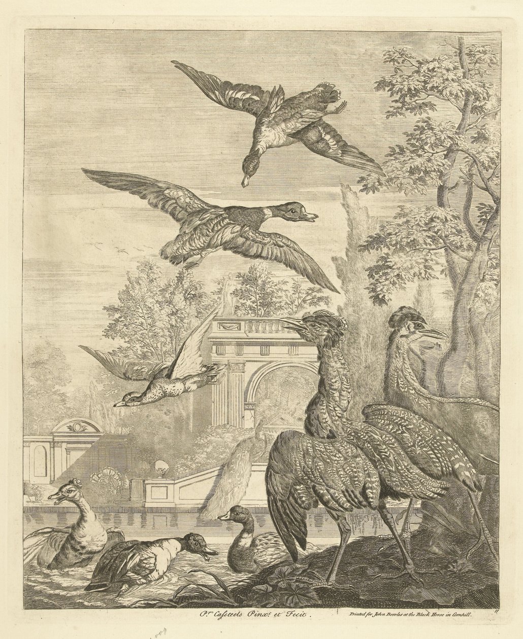 Enten und Reiher bei einem Vogelteich von Peter Casteels (III)