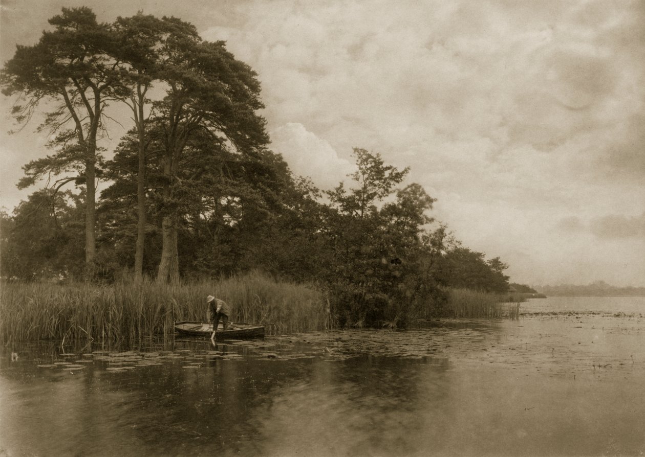 Das Versteck des Hechts, ca. 1886 von Peter Emerson und Thomas Goodall