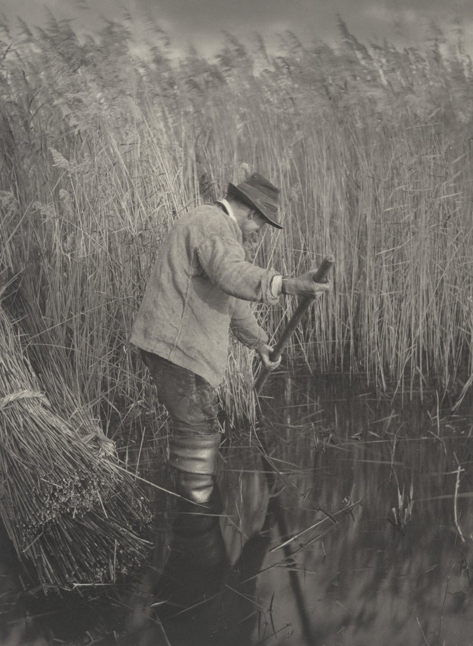 Ein Schilfschneider bei der Arbeit, 1886. Schöpfer: Dr. Peter Henry Emerson, Thomas Frederick Goodall von Peter Henry Emerson, Thomas Frederick Goodall