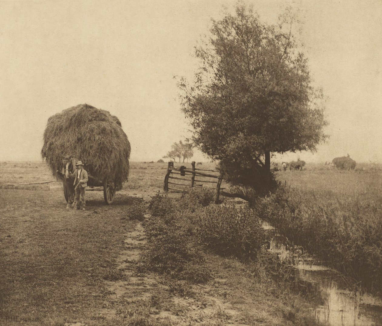 Beim Heuen. [Norfolk.] von Peter Henry Emerson