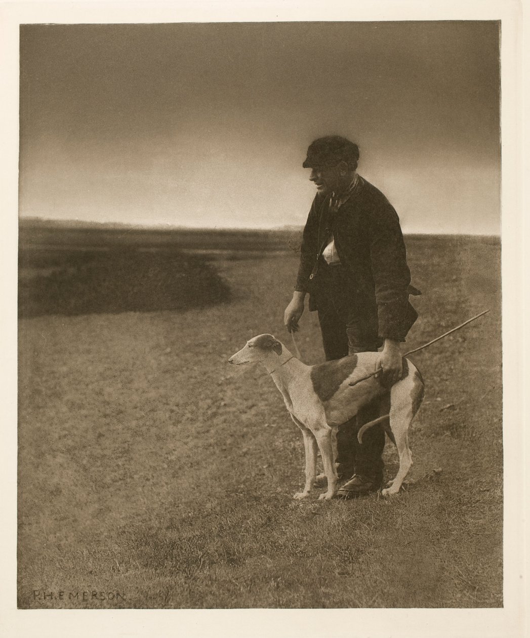 Der Wilderer - Ein Hase in Sicht von Peter Henry Emerson