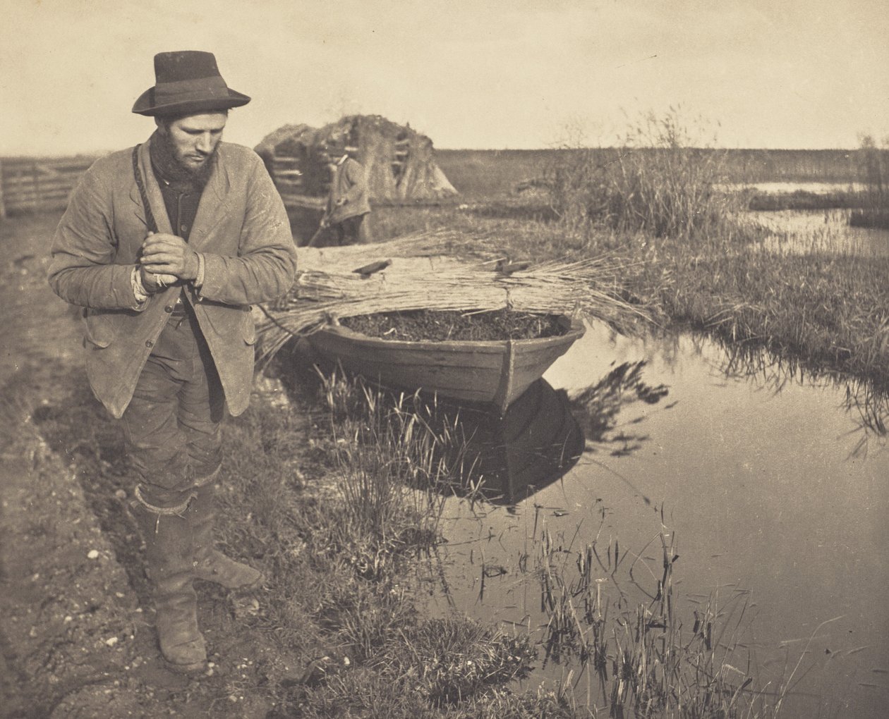 Das Schilf schleppen von Peter Henry Emerson