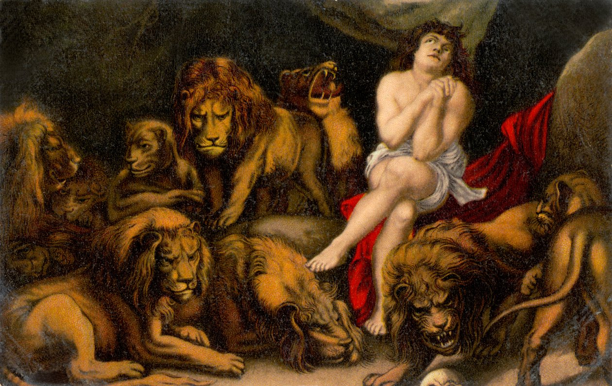 Daniel in der Löwengrube aus der Daniel-Bibel (Druck) von Peter Paul (after) Rubens