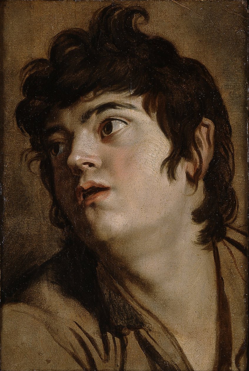 Kopf eines jungen Mannes von Peter Paul Rubens